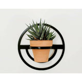 Plant Hangers - set of 2 - MercerMetal