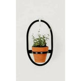 Plant Hangers - set of 2 - MercerMetal