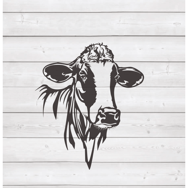 Cow Head - MercerMetal